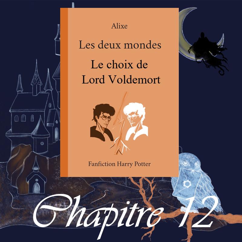 Les Deux Mondes – Le choix de Lord Voldemort – Chapitre 12